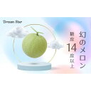 【ふるさと納税】さぬきメロン Dream Star 1.1kg以上｜メロン 糖度 14度以上 甘い フルーツ 果物 くだもの 特産 ふるさと 坂出市 香川 さぬき 食品 人気 おすすめ 送料無料