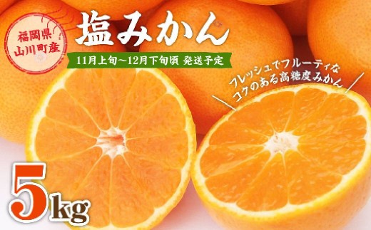 A158 福岡県山川産 塩みかん 10kg 【2025年11月上旬～12月下旬発送予定】 蜜柑 花藻塩