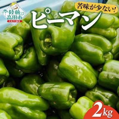 ふるさと納税 陸前高田市 【先行受付】 獲れたて ピーマン 約2kg 野菜 夏野菜 新鮮 Farm Koganeyama