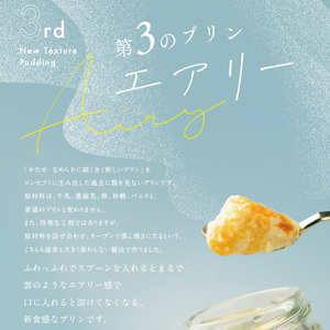 第3のプリン 1個 ソース付き 高級 プリン スイーツ デザート 高級プリン 高級スイーツ お取り寄せ プレゼント ギフト 贈り物 贈答品 プリン研究所 エアリー 大阪府 松原市