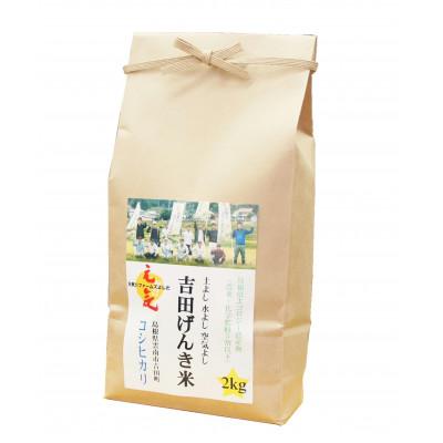 ふるさと納税 雲南市 島根県雲南市産　吉田げんき米　コシヒカリ　2kg(2kg×1) |  | 01