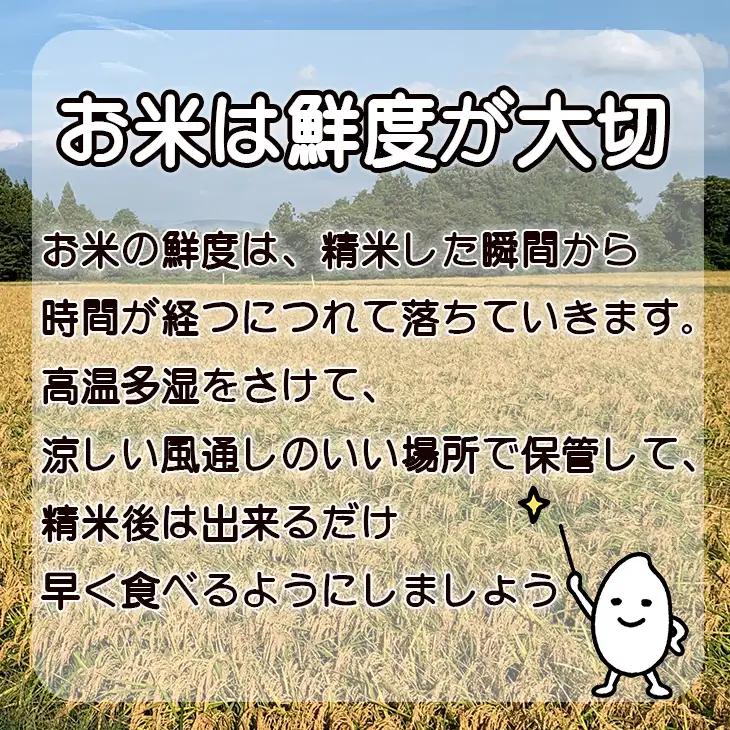 令和7年産 花巻産 ひとめぼれ 10㎏（5kg×2袋）【2225】