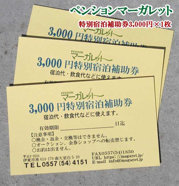 【ふるさと納税】ペンションマーガレット 特別宿泊補助券3,000円×1枚