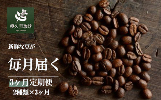 
            No.2702椏久里珈琲スペシャルティコーヒー3ヶ月定期便
          