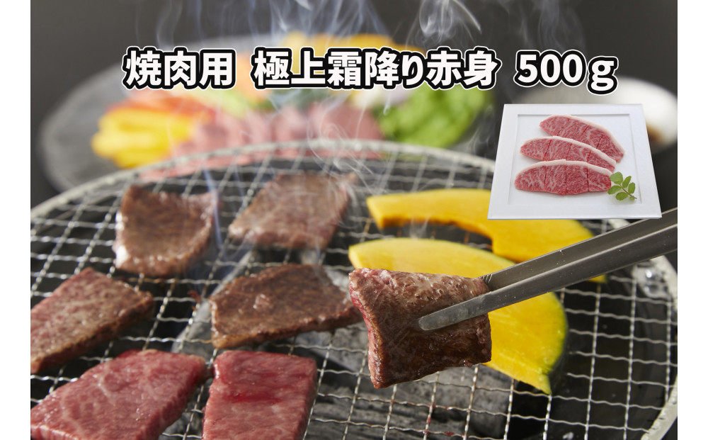 ＜定期便6回＞ A５等級神戸牛　希少部位堪能コース 【神戸ぐりる工房】ステーキ すき焼き 焼肉（隔月でお届け）