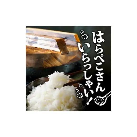 【 コシヒカリ 】 コシヒカリ 5kg