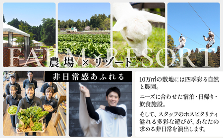おふろcafeかりんの湯　平日限定フリータイム利用券6枚  TFM011