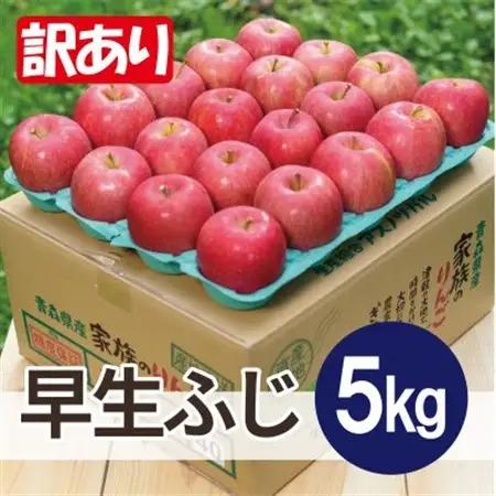 【2026年10月発送予定】平均糖度12度以上! 早生ふじ 約5kg 訳あり【配送不可地域：離島・沖縄県】【1667887】