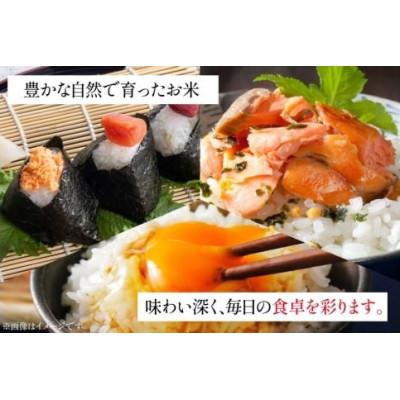 ふるさと納税 日向市 宮崎県産 コシヒカリ 新米 白米 10kg【令和7年産】 |  | 03