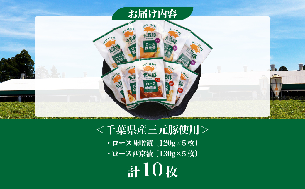 【千葉県産三元豚】元気豚 ロース味噌漬2種セット(10枚入り)【配送不可地域：離島・沖縄県】 TAKB012