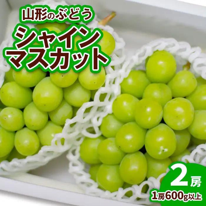 山形のぶどう シャインマスカット 2房(1房600g以上)【令和8年産先行予約】FU19-729 くだもの 果物 フルーツ 山形 山形県 山形市 2026年産