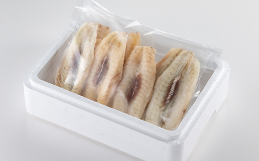【訳アリ】真フグ一夜干し約500g【配送不可地域:離島】