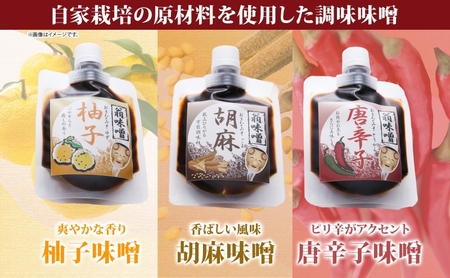 自家栽培大豆の手作り味噌詰合せ 味噌 自家製 栽培大豆 手作り 詰め合わせ 調味料 和食 米 大豆 黒豆 柚子 唐辛子 胡麻 麹 大豆 コク 料理 味噌汁 定番 甘味 旨味 蓮田市 埼玉県 篠山堂