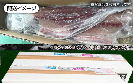 【1/16〜3月末お届け】天然 寒ブリ（一本丸ものサイズ14キロ台 半身ブロック）《壱岐市》【壱岐島 玄海屋】[JBS121]