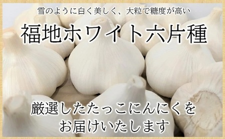 日本一ブランドたっこにんにくLサイズ15玉（青森県田子町産にんにく）