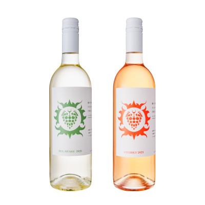 ふるさと納税 宮城県 【南三陸ワイナリー】の白ワイン・ロゼワイン2本セット(ギフトボックス入り)
