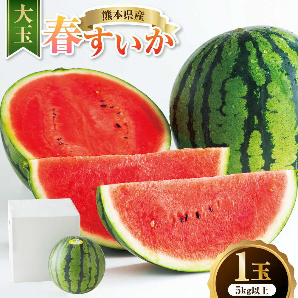 【ふるさと納税】熊本県産 大玉春すいか 1玉 5kg以上 すいか スイカ スイカ フルーツ くだもの 果物 果実 デザート 国産 九州 熊本県 送料無料 【2027年4月上旬から5月下旬発送】