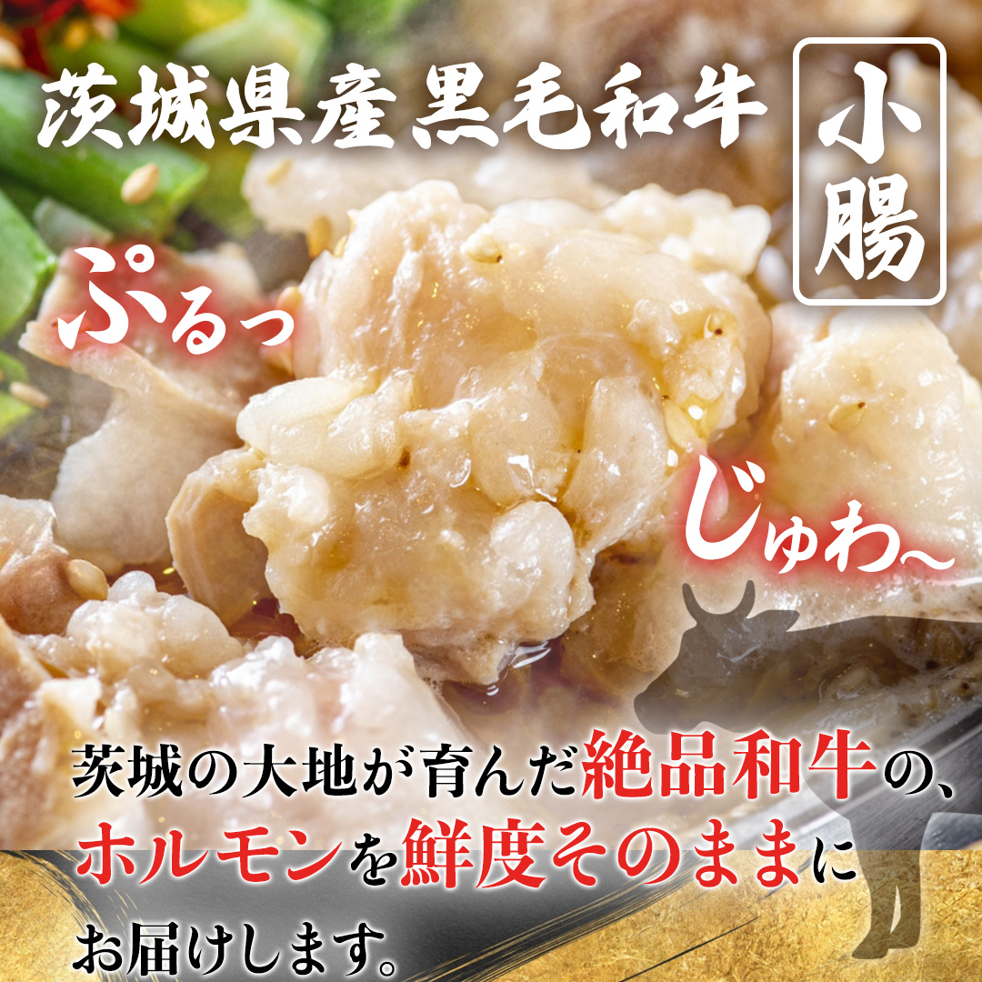 【茨城県産】 黒毛和牛 もつ鍋 焼肉用 小腸 400g（200g×2パック） (茨城県共通返礼品) 国産 牛肉 肉 お肉 ホルモン もつ 和牛 小腸 ホルモン 味付き 味付ホルモン タレ漬け 焼肉 B