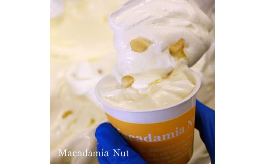 Hilo Homemade Ice Cream プレミアムアイスクリーム 130ml×6個 セット 神奈川 湘南 藤沢