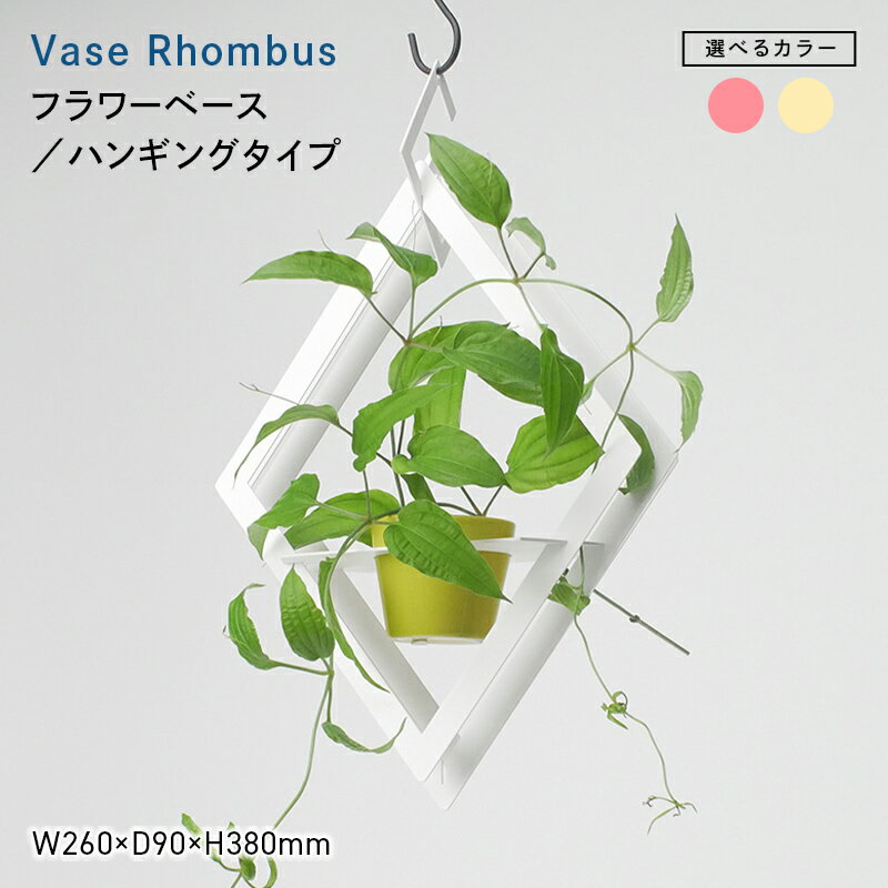 【ふるさと納税】＼選べるカラー／Vase Line （ベース　ライン） EB8-0706var