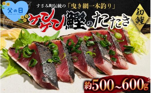 【父の日】【父の日までにお届け】  和歌山県すさみ産 初鰹！！！！ ケンケン鰹のたたき 約500g～600g / 初鰹 鰹 かつお かつおのたたき 刺身 タタキ 天然 冷凍 真空 小分け 個包装 加工品 魚 和歌山県 すさみ町【scp001A-pp】