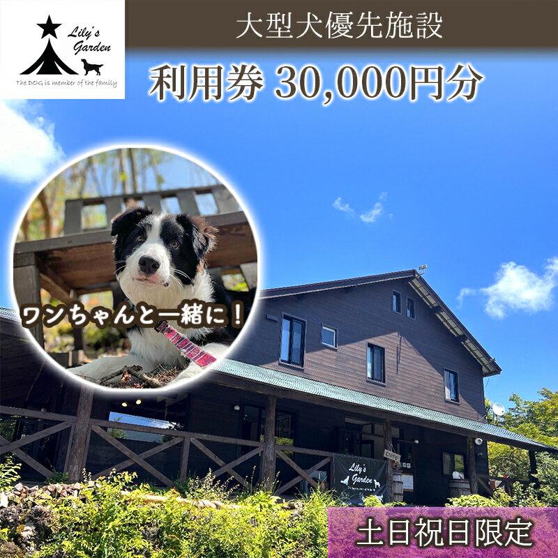 【ふるさと納税】【土日祝日限定】 Lily's Garden 利用券 30,000円分 ペットと泊まれる 犬 大型犬 犬好き ペット わんこ 裾野 裾野市 静岡 伊豆 宿泊券 自然 旅行 観光