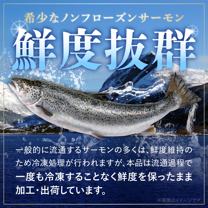 いっちゃんええ【ノンフローズン】生サーモン 全て手作業 半身 約1.8kg_FJ1002_イメージ3