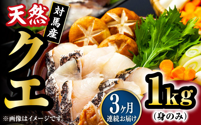 【全3回定期便】【 対馬産 】 天然 クエ 1kg（500g×2）（身のみ）《対馬市》【石川水産】 鍋 水炊き 鮮度抜群 海鮮 [WAB024]