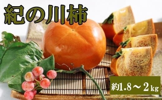 
                  【希少】紀の川柿約1.8～2kg（種無し）秀選品 ※2026年10月上旬～2026年11月中旬頃に順次発送予定【tec405B】
                