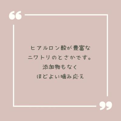 ふるさと納税 能勢町 【完全無添加・国産・犬のおやつ】デンタルケアとしても安心なカミカミを楽しめる「とさか大袋」180g |  | 03