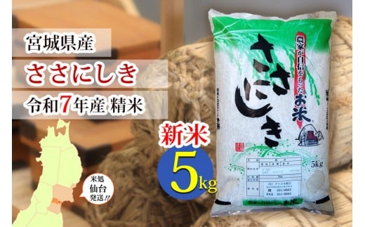 【ささにしき】新米 令和7年度産 精米 5kg（5kg×1袋）宮城県産【米 お米 こめ コメ ご飯 ごはん】