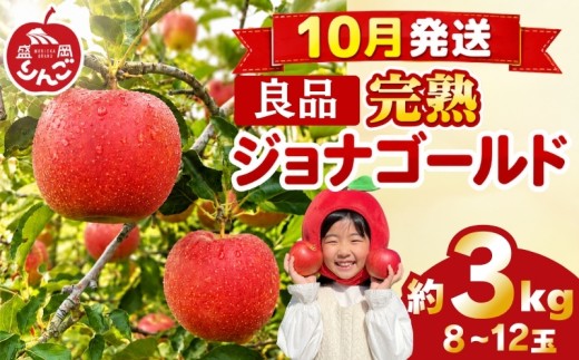 先行予約 贈答用 りんご 3kg ジョナゴールド 良品  <10月発送> 農家直送 果物 フルーツ 林檎 リンゴ シャキシャキ 国産 産地直送 くだもの デザート 特産品 ご当地 贈答 朝食 昼食 夕食 おやつ 新鮮 プレミアム 甘い 酸味 果汁 今が旬 旬 秋 おすすめ 美味しい ジューシー ringo apple 岩手県 盛岡市 東北 岩手 盛岡 田村ふぁーむ tamura013