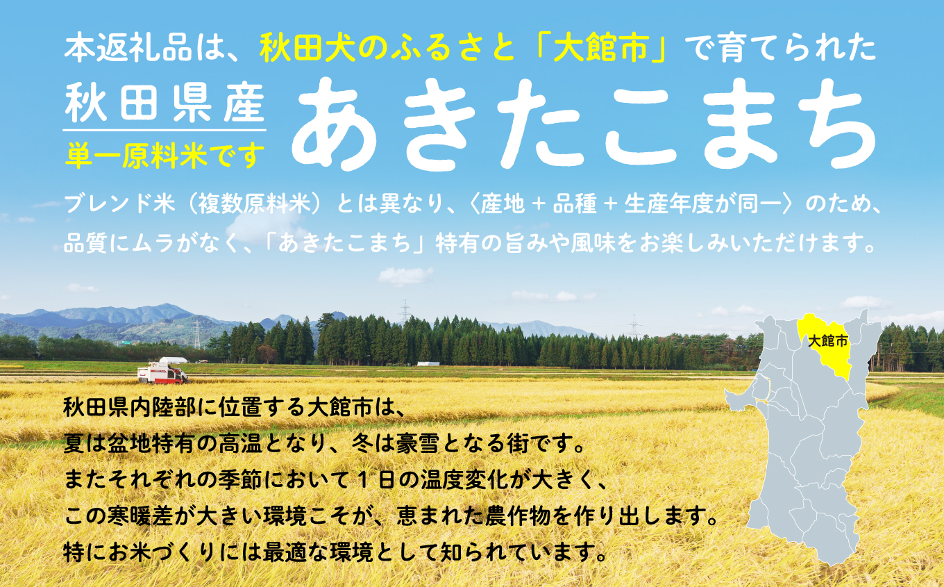 【定期便9ヶ月】令和7年産 秋田県産米「あきたこまち（白米）」 20kg（5kg×4袋）【真正ファーム】