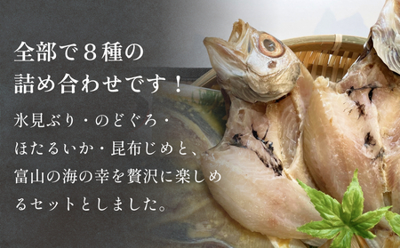 氷見ぶり・のどぐろ・ほたるいか・昆布〆お刺身　鱈場おすすめ海の幸贅沢セット 富山県 氷見市 ノドグロ ホタルイカ ブリ 冷凍魚介 詰め合わせ