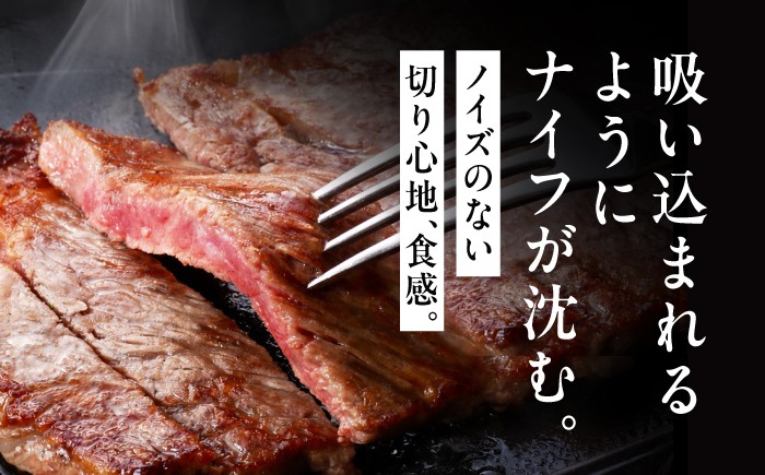 佐賀牛 サーロインステーキ 2枚 1枚/200g 400g ステーキ 佐賀県産 黒毛和牛 すてーき 2人前 サーロイン