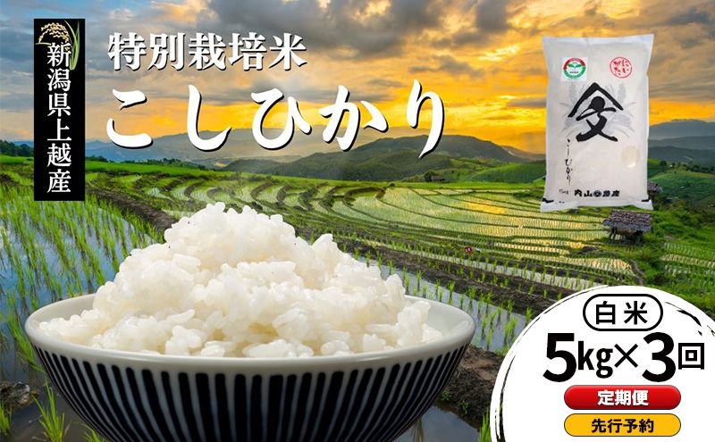 
                  先行予約 定期便 令和8年産 新潟県上越産「 特別栽培米 コシヒカリ 」 白米 5kg×3回配送 内山農産 こしひかり お米 こめ おすすめ  新潟県産 にいがた 上越
                