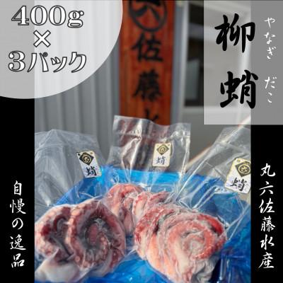 ふるさと納税 相馬市 【相馬原釜港水揚げ】ボイルやなぎだこ(400g×3パック)【新鮮浜茹で】
