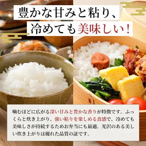 松屋フーズ 定期便 最高級 魚沼産コシヒカリ 5kg×6回 コシヒカリ