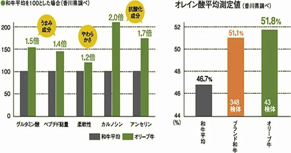 オリーブ牛100％肉汁ハンバーグ4枚(120g×12枚)セット | ハンバーグ