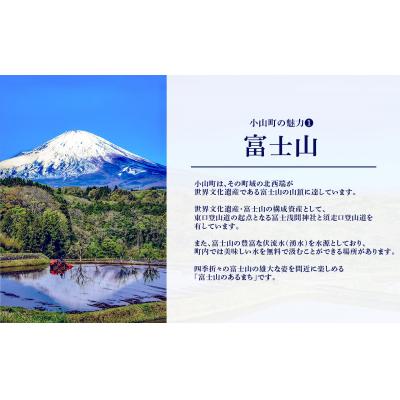 ふるさと納税 小山町 エリア限定 リンガーハット グループ 共通 利用券　6000円(500円×12枚) |  | 03