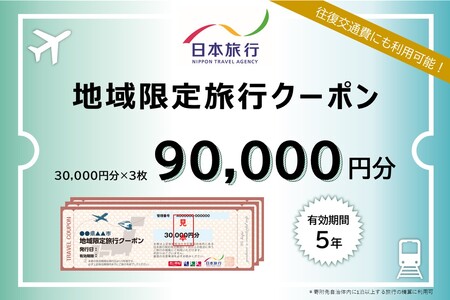 沖縄県石垣市　日本旅行　地域限定旅行クーポン90,000円分【 沖縄県石垣市 チケット 旅行 宿泊券 ホテル 観光 旅行 旅行券 交通費 体験  宿泊 夏休み 冬休み 家族旅行 ひとり カップル 夫婦 親子 トラベルクーポン 石垣島旅行 】NR-3