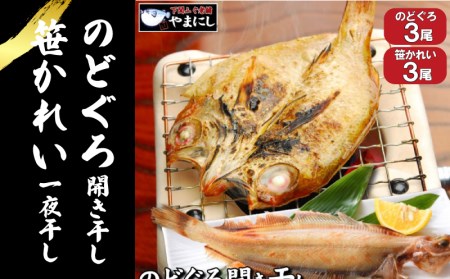 のどぐろ 開き干し 笹カレイ 一夜干し かれい 2種 AU409