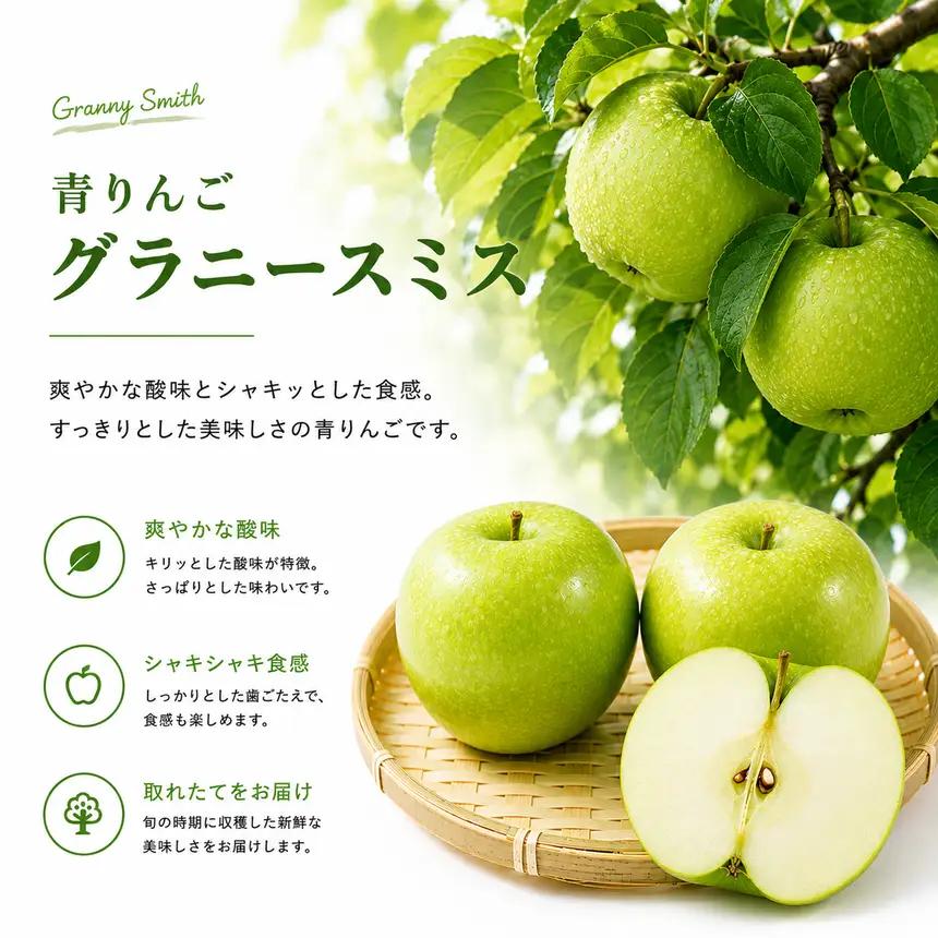 先行予約 青りんご グラニースミス 約4.8kg  2026年11月上旬～2027年2月下旬発送予定［小布施屋］フルーツ 果物 長野県産