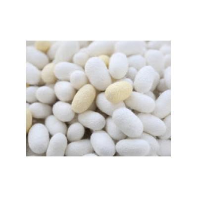 ふるさと納税 浜田市 絹浴用タオル「キビソ肌友だち」ソフトLサイズ |  | 02