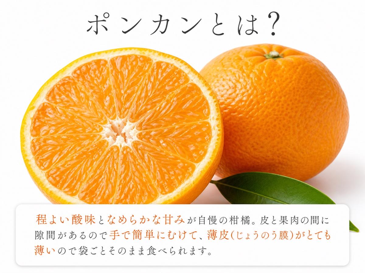 紀州和歌山有田産ポンカン 5kg