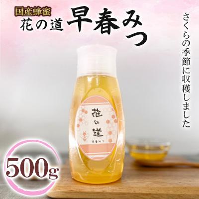 ふるさと納税 広川町 早春みつ　500g(広川町)