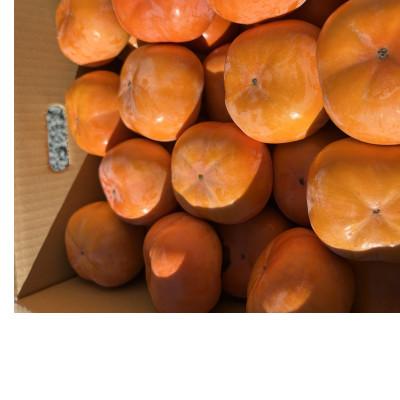 ふるさと納税 多気町 【令和8年先行予約】優しい農園　次郎柿　特選玉　5kg　20数玉目安　数量限定 |  | 02