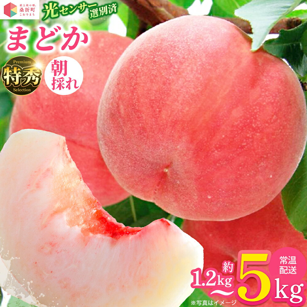 【ふるさと納税】【選べる内容量】もも【まどか・2027年産先行予約】特秀1.2kg/1.5kg/3kg/5kg 桑折町産 JAふくしま未来 桃 / モモ 果物 フルーツ 旬 甘い 甘み ジューシー 果肉 果汁 朝採り 新鮮 フレッシュ デザート 産地直送 福島県 特産品【0097・0137・0225・0235】
