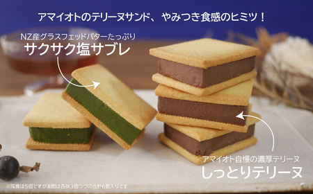 アマイオトの「濃厚抹茶テリーヌサンド3個＆芳醇ショコラテリーヌサンド3個セット」| テリーヌ