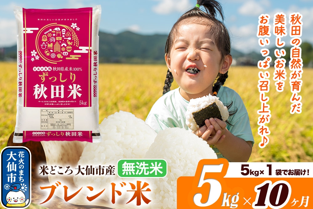 
                  米《定期便10ヶ月》米どころ 秋田県大仙市産 ブレンド米【無洗米】5kg（5kg×1袋） [米 お米 こめ 白米 無洗米 ブレンド米 小分け ご飯 ごはん 米どころ 秋田県産 大仙市]
                